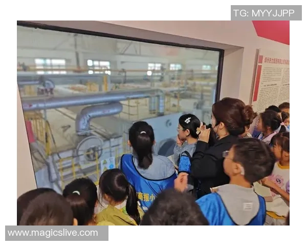 上海排球队重塑辉煌的反击革新之路探秘与展望