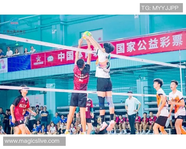 广州排球队迎来速度革命引发热议与期待