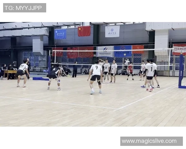 聚焦排球：西安排球队的耐力话题